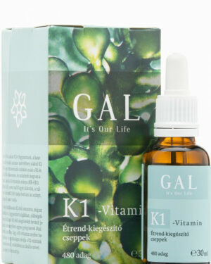 GAL K1-Vitamin 1000mcg K-vitamin x 480 adag