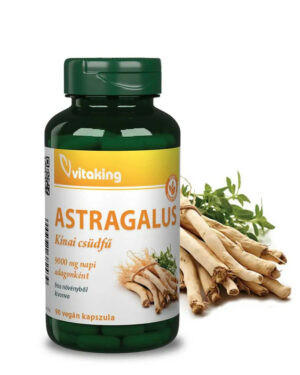 Vitaking Astragalus 9000mg/napi adag (90 ) vegán kapszula (Kínai csüdfű)
